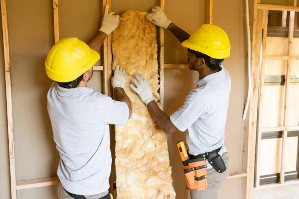 Best Energy-efficient Insulation  in Temple, TX