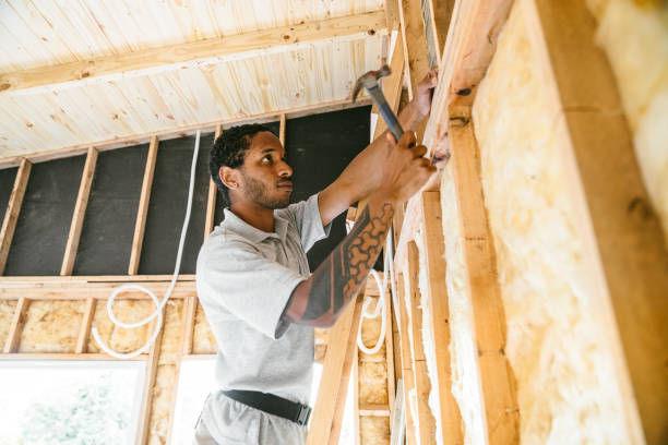 Best Cellulose Insulation  in Temple, TX
